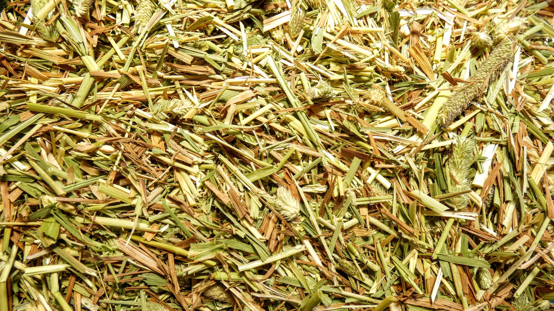 Annandale Timothy Chaff 20 kg