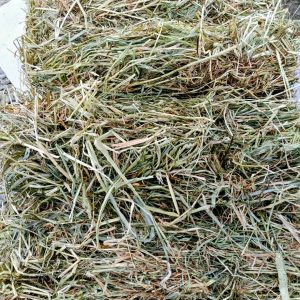 Wrapped Hay - New Season